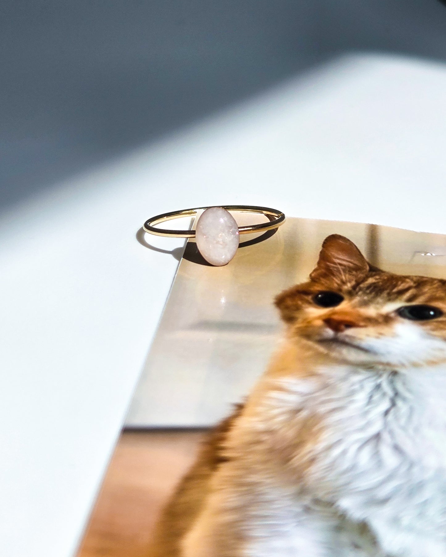 Cremation Oval Ring in 14K Gold Filled