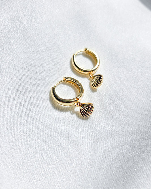 Clamshell Earrings
