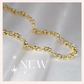 The Allure Link